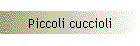 Piccoli cuccioli