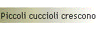 Piccoli cuccioli crescono