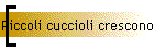 Piccoli cuccioli crescono