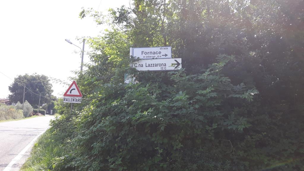 PER RAGGIUNGERE RANCH FAVOLABRADORS